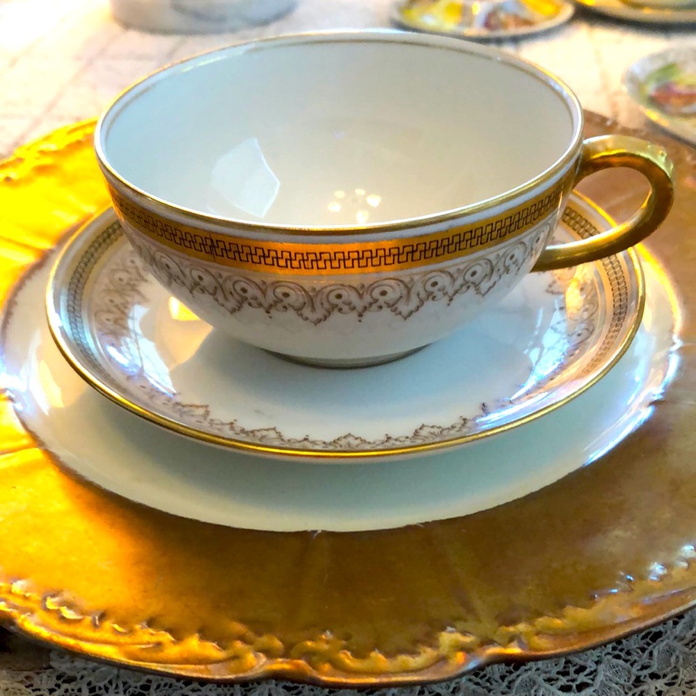 GRATIS- EUC- Pristine PL Limoges France, M. Redon Teacup & Saucer